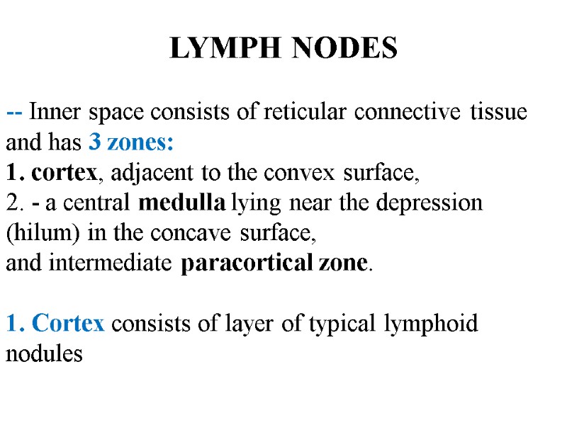 LYMPH NODES  -- Inner space consists of reticular connective tissue and has 3